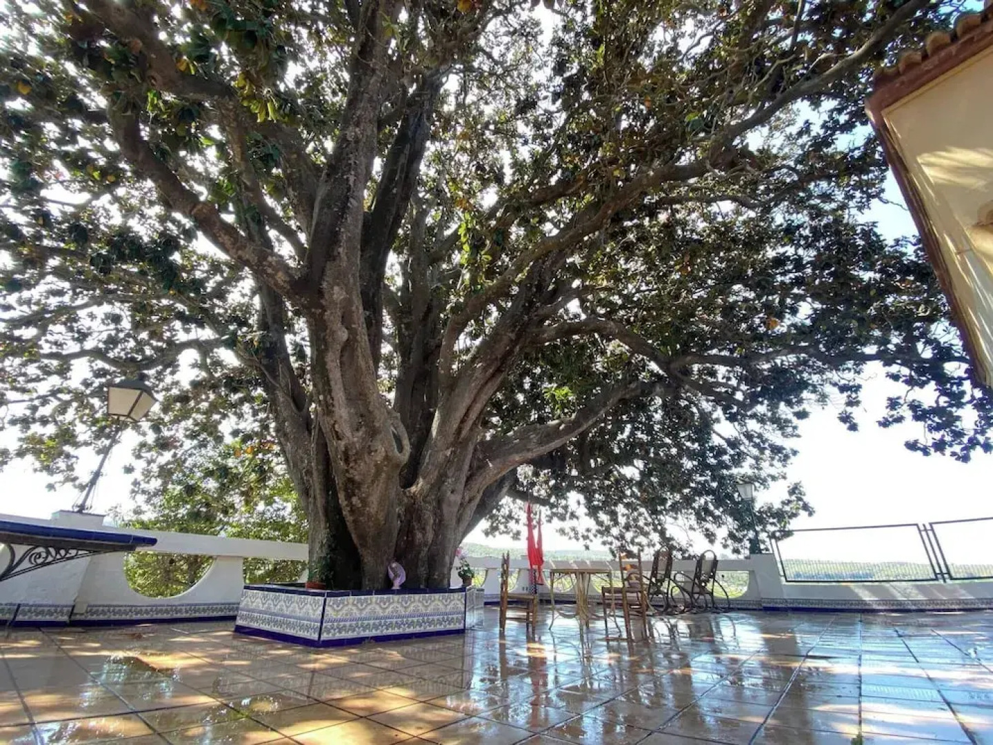 Complete, Spacious House, With Pool and Surrounded by Nature