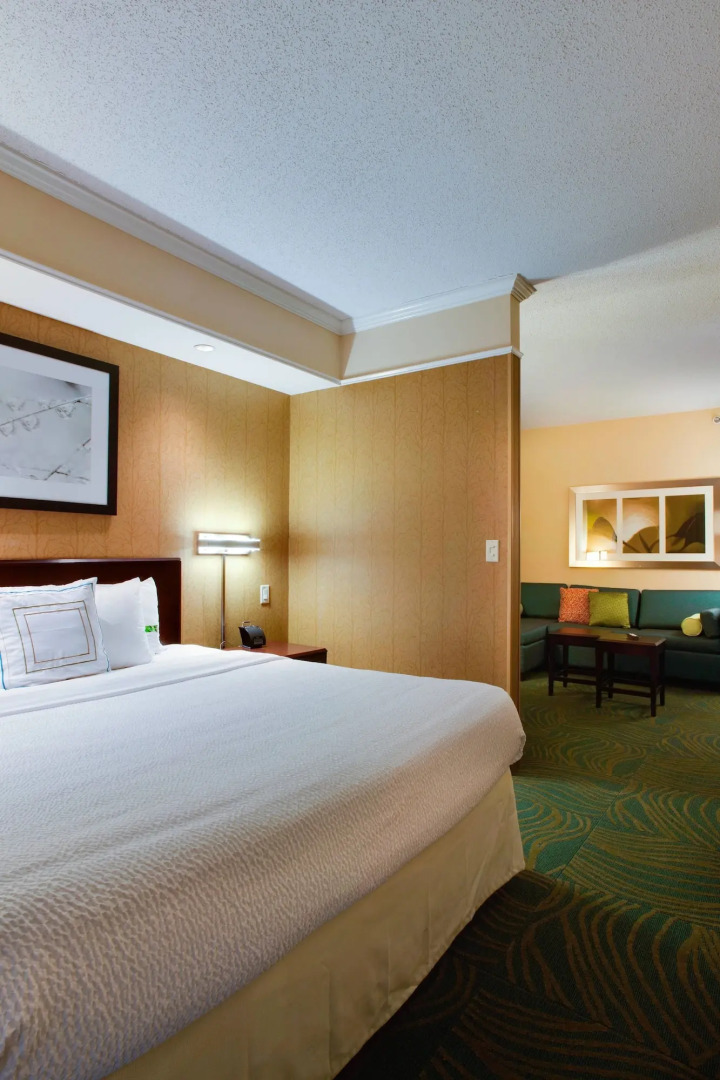 SpringHill Suites by Marriott Savannah Airport