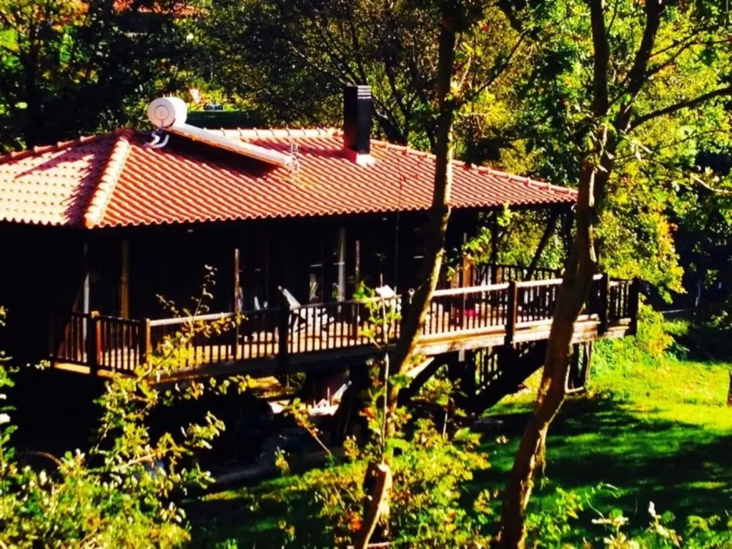 Tree Pool Villa in Arcos de Valdevez
