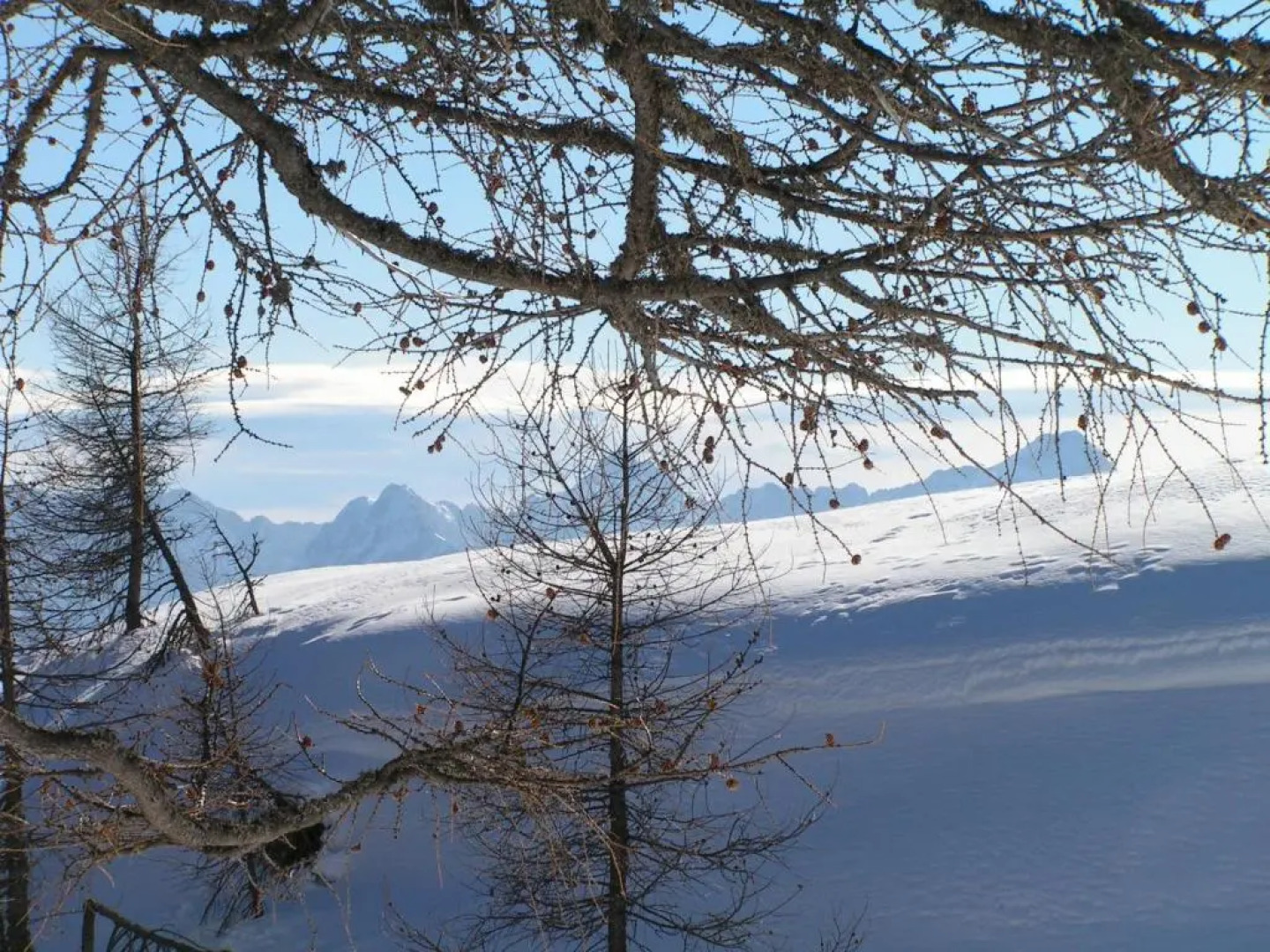 Apartments & Rooms Tempfer