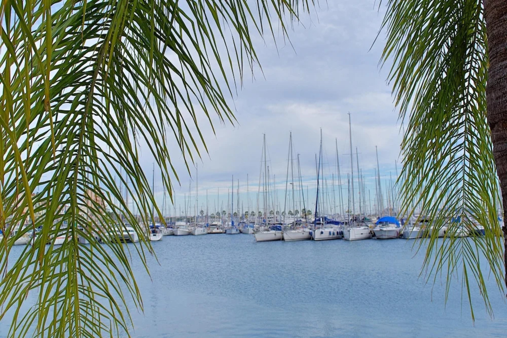 Studio in Golfe Juan - Vallauris, with Wonderful Mountain View And Balcony - 700 M From the Beach