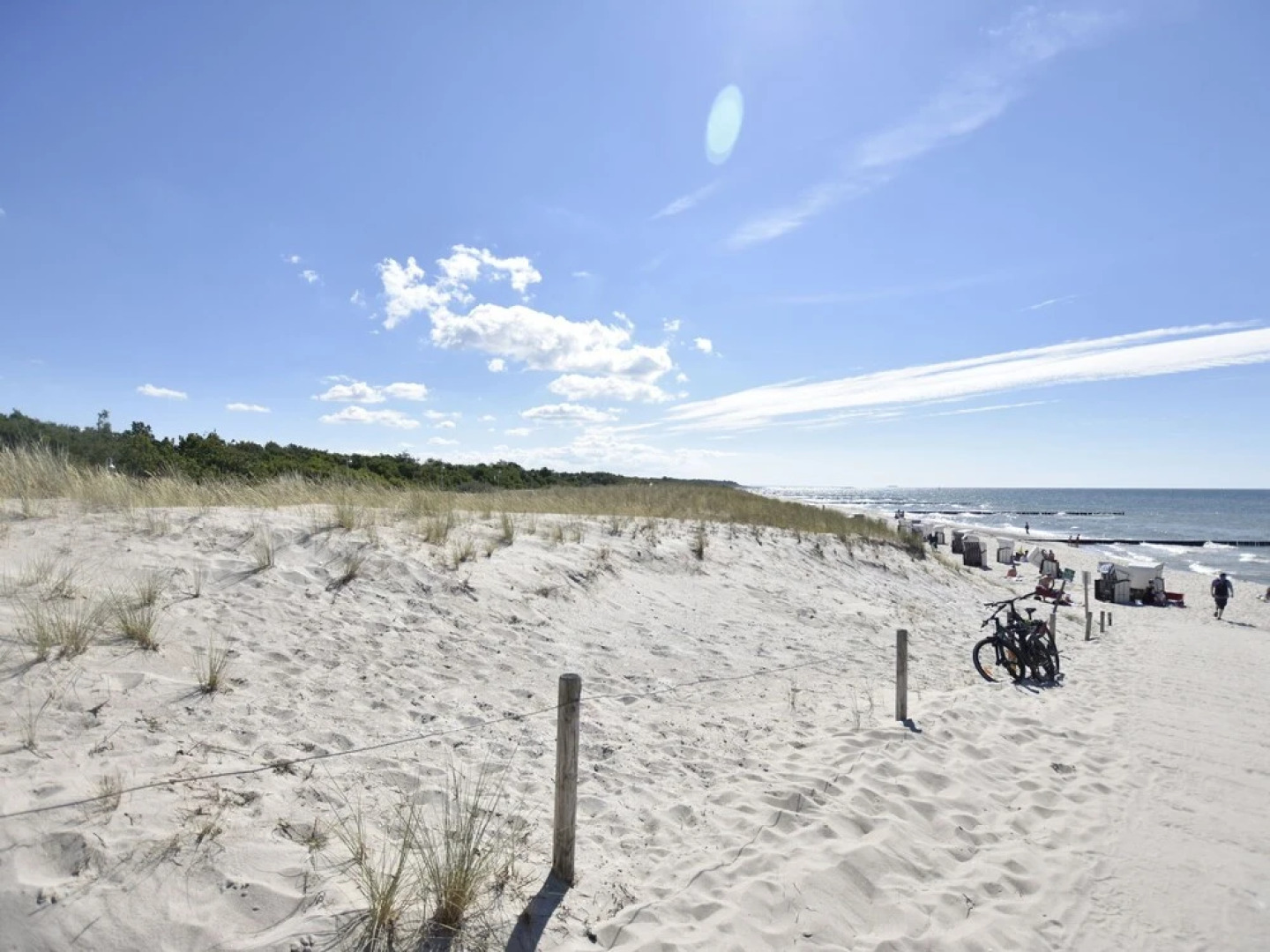 Modern Holiday Home in Ribnitz-damgarten Amidst Forest