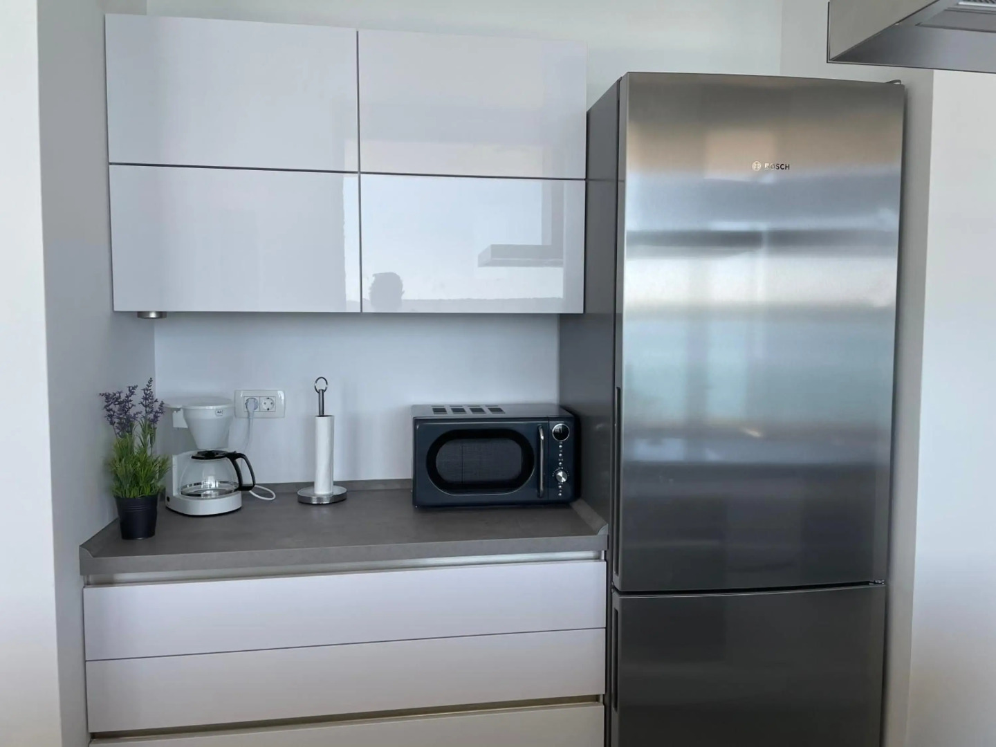 Palms & Beach Maslenica