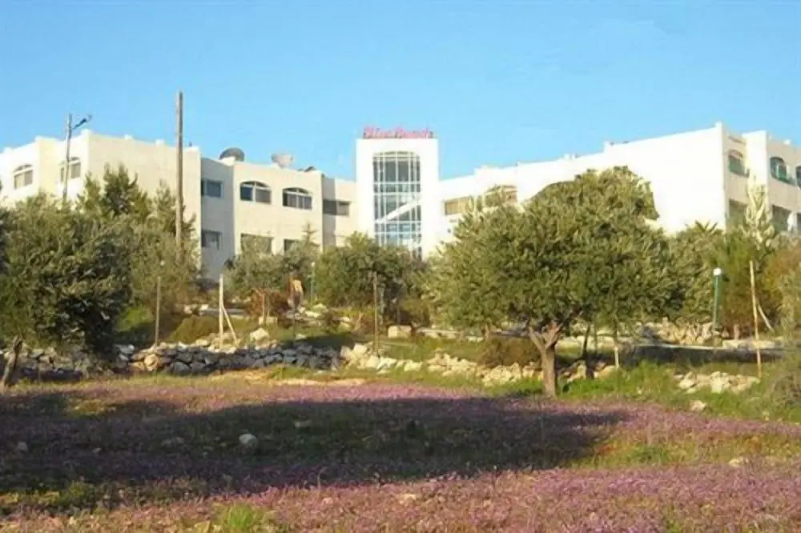 Olive Branch Hotel