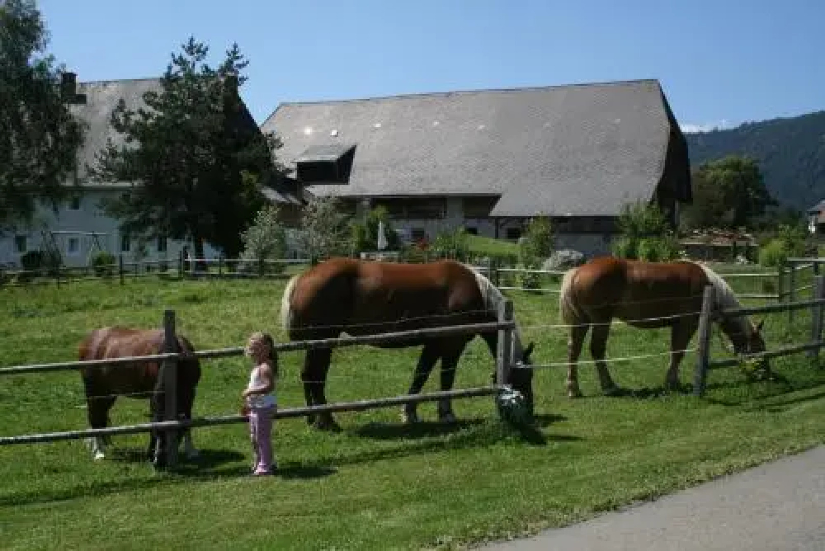 Bio-Bauernhof Apartment Liebchen