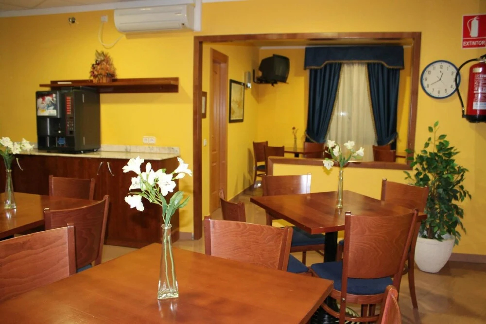 Hostal Prickly Cervecería
