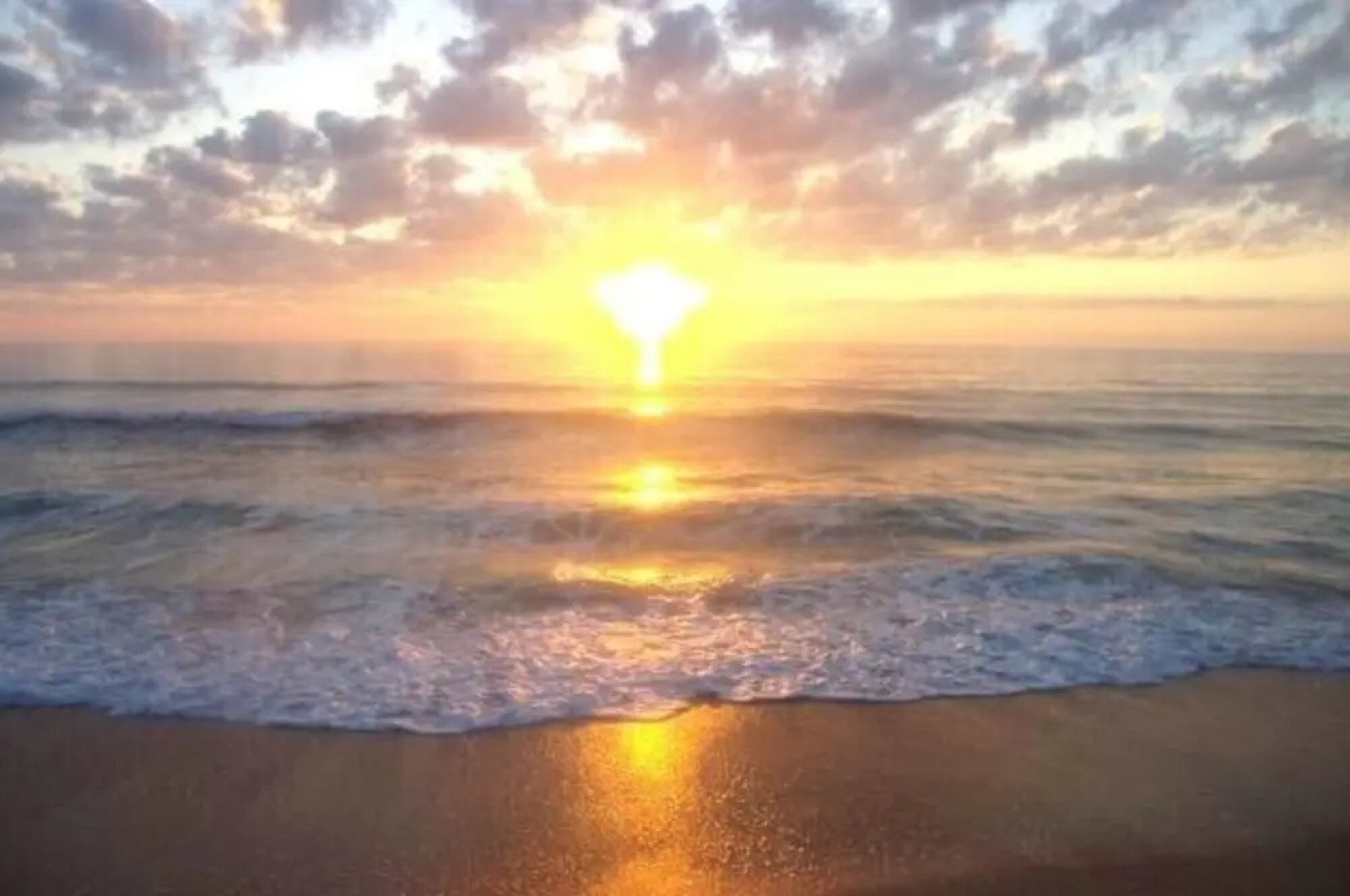 Dancing Dolphin by Vacation Rental Pros