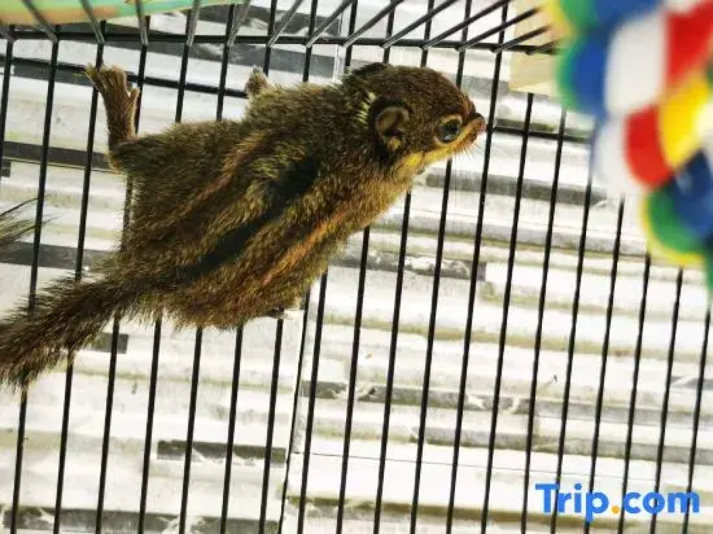 Wentangzhen Jundi Life Boutique Inn