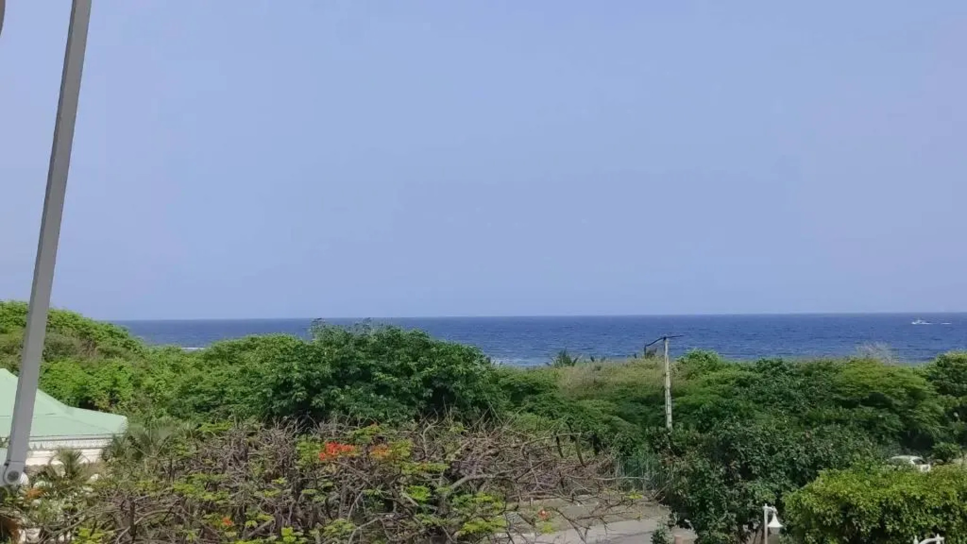 Nid tropical pour deux