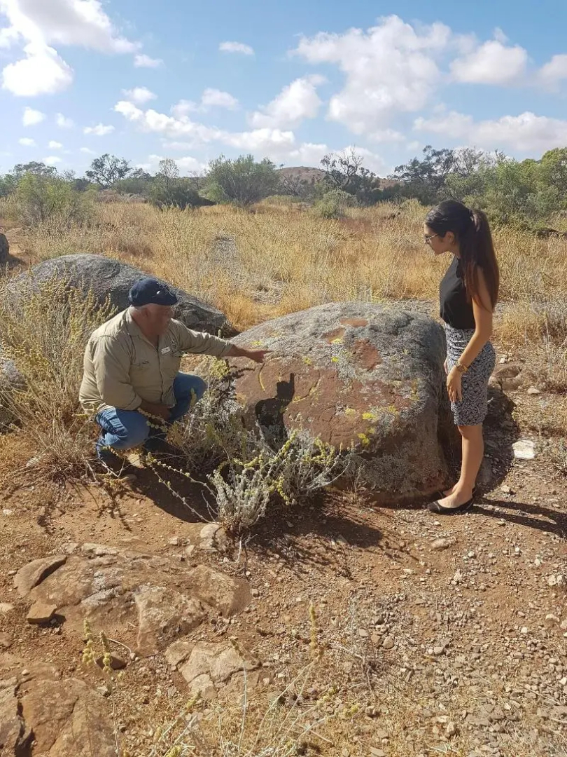 Discovery Resorts – Wilpena Pound