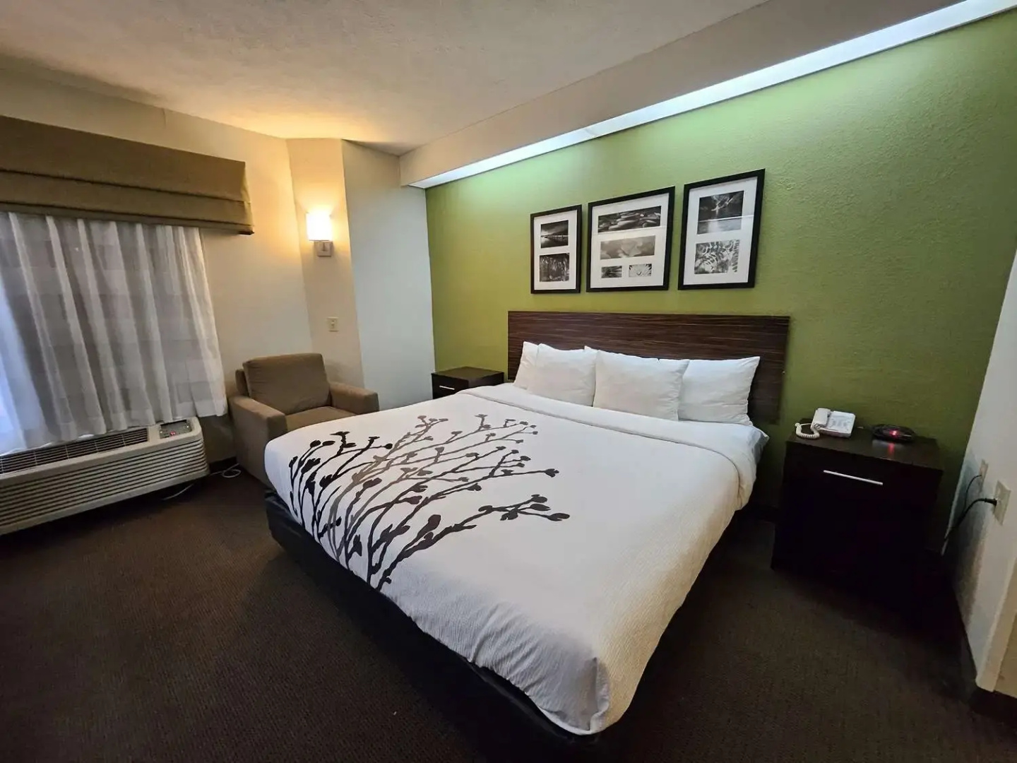 SureStay by Best Western Summerville Flowertown