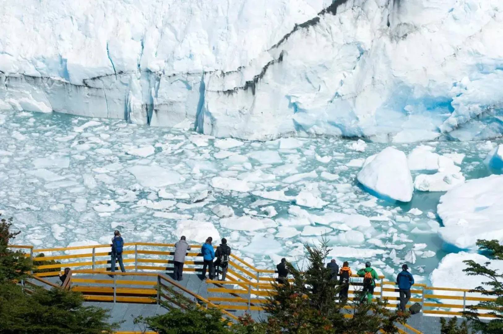 Sent Calafate