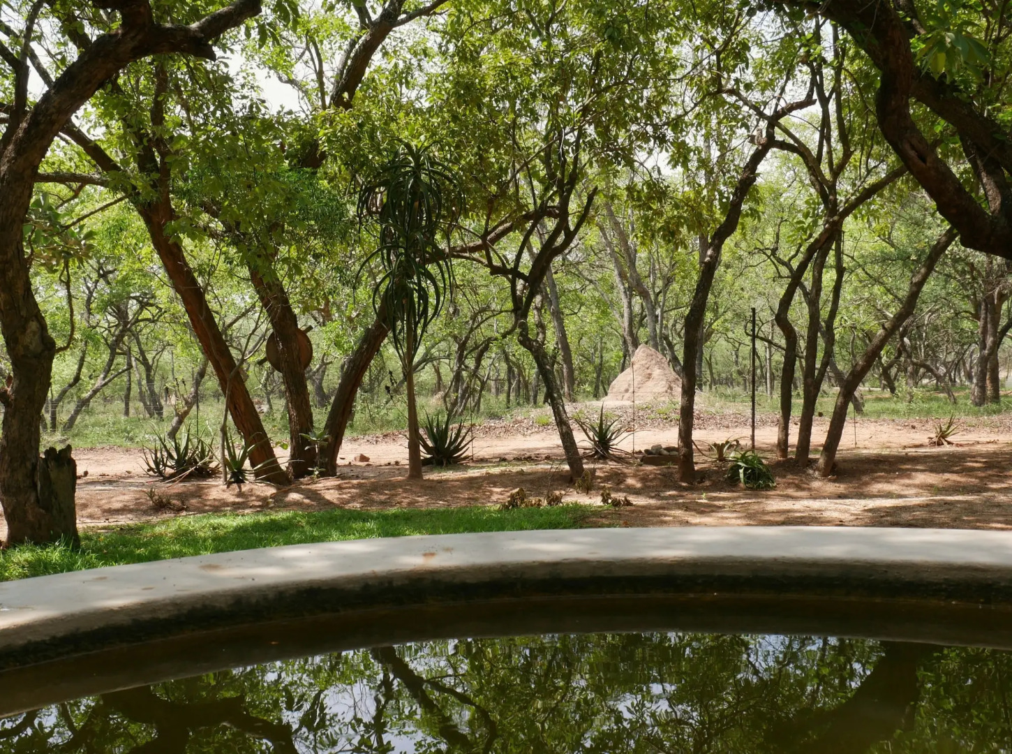 Kingfisher Creek Safari Lodge