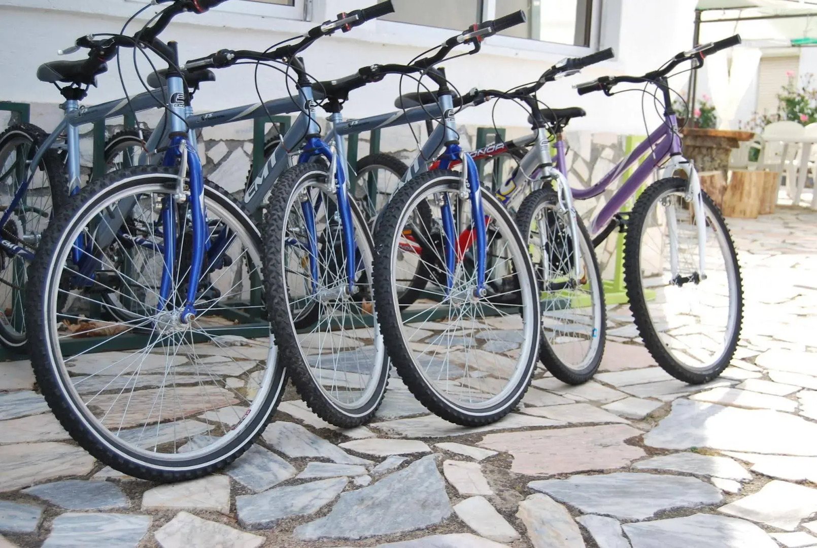 Hotel Boavista - Vintage House