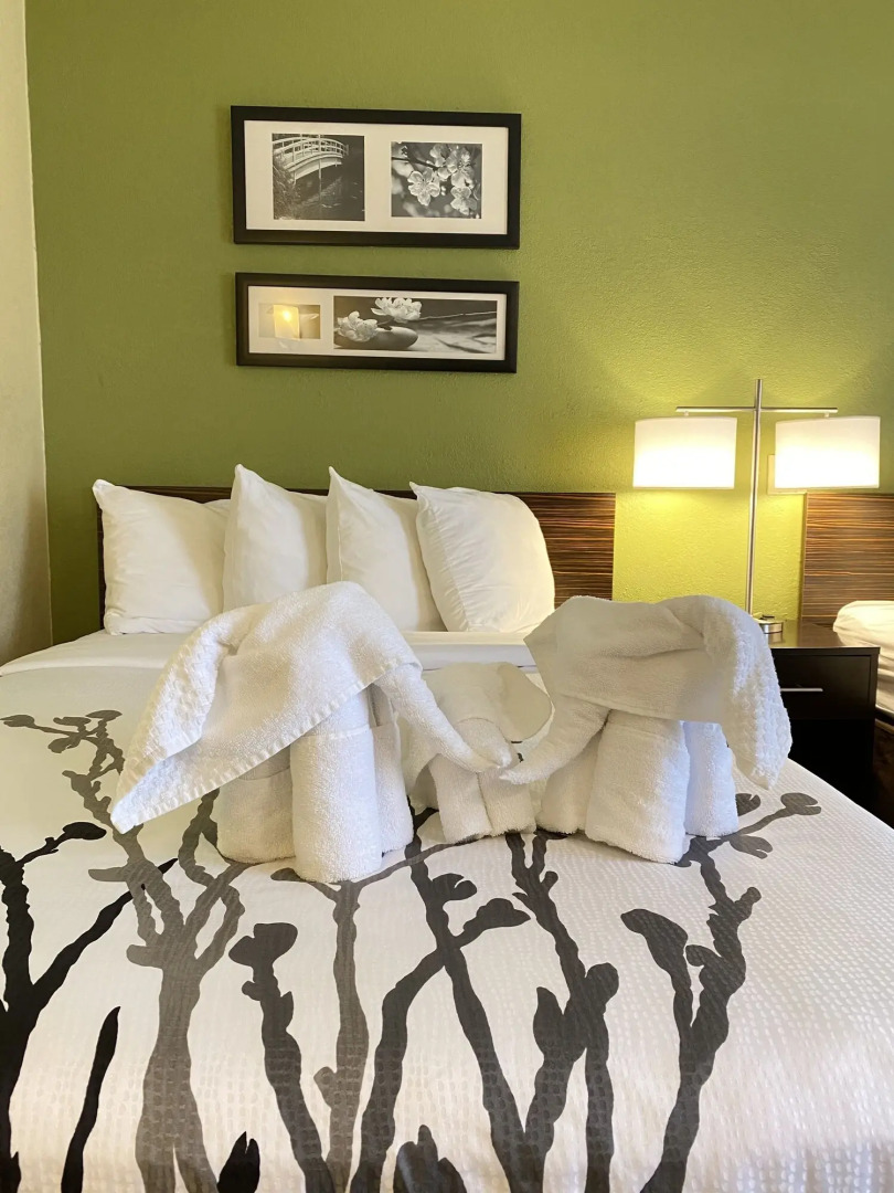 Sleep Inn & Suites Grand Rapids Southeast - Kentwood