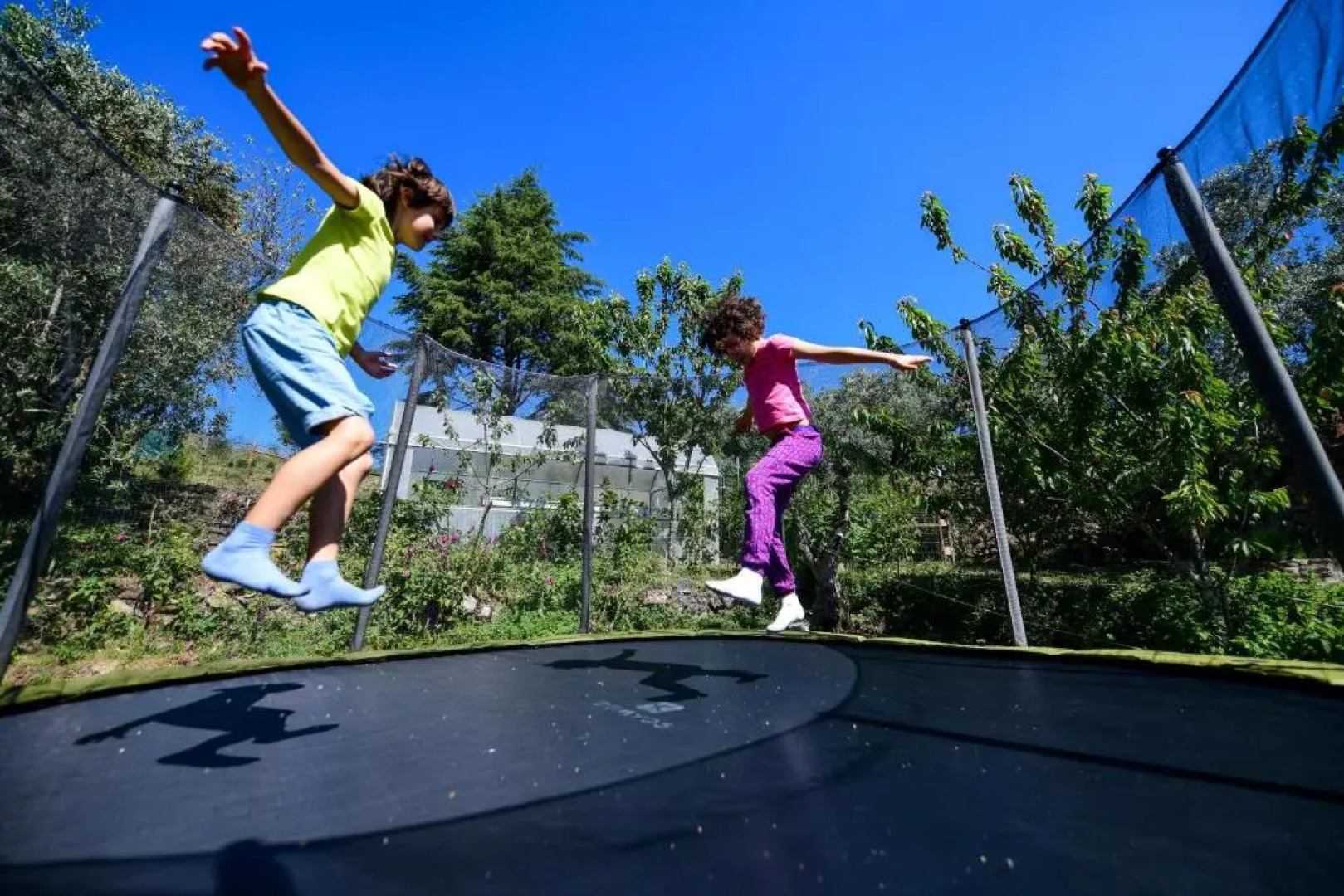 Vale do Ninho Houses