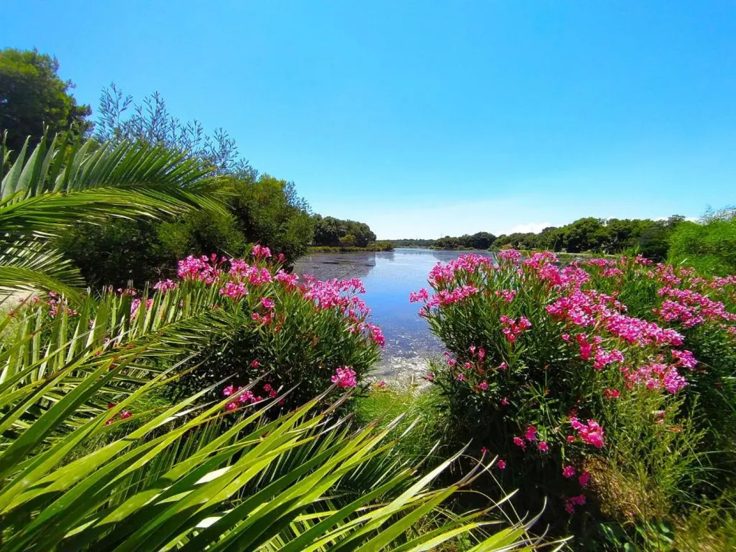 Camping Naturiste Riva Bella 4*