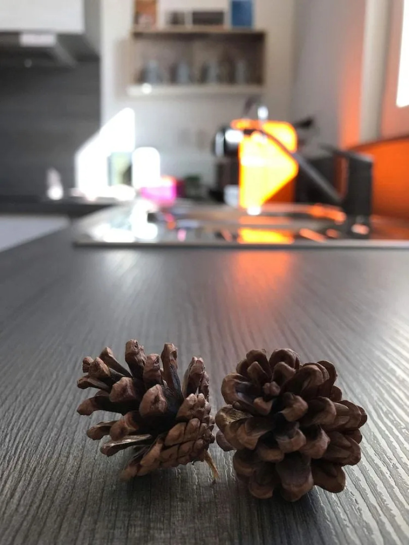 Sleeping Bio Tea - B&B