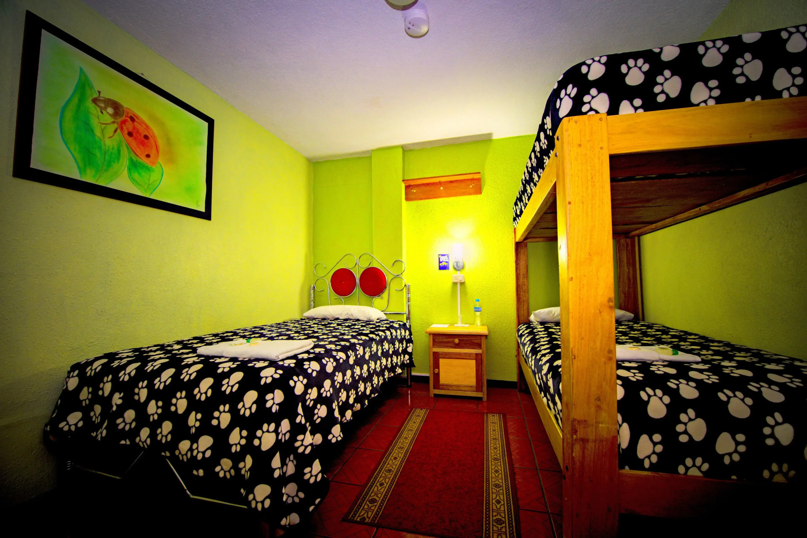 Mirador Oro Verde Quilotoa