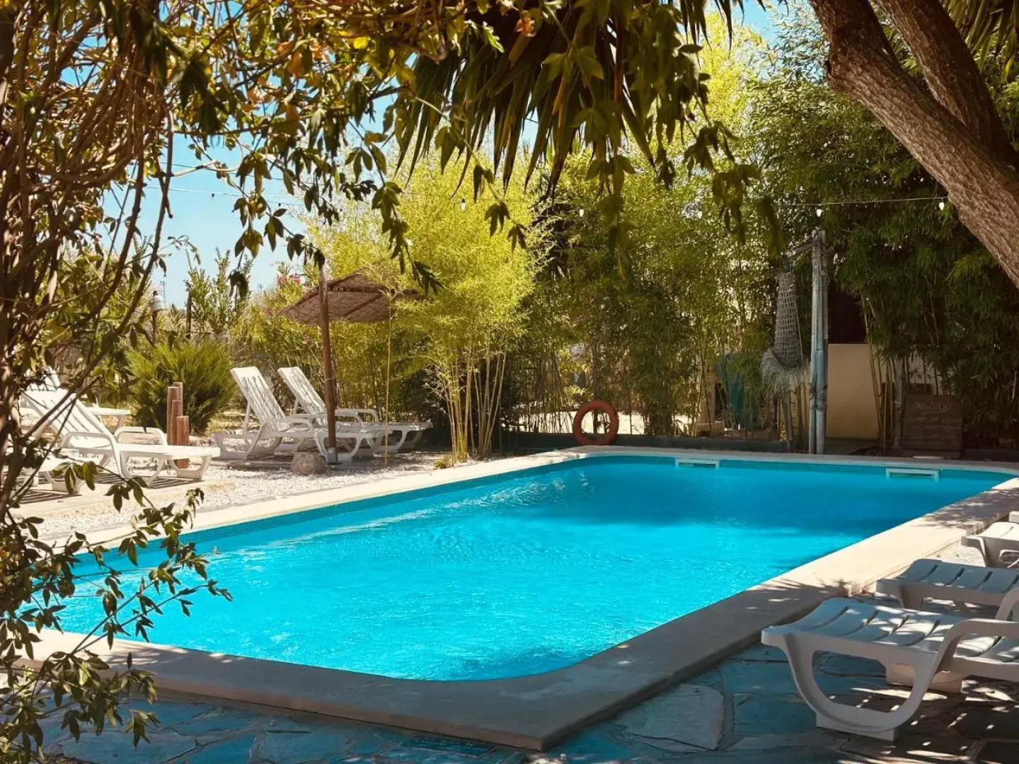 Casa Rico Frade Garden