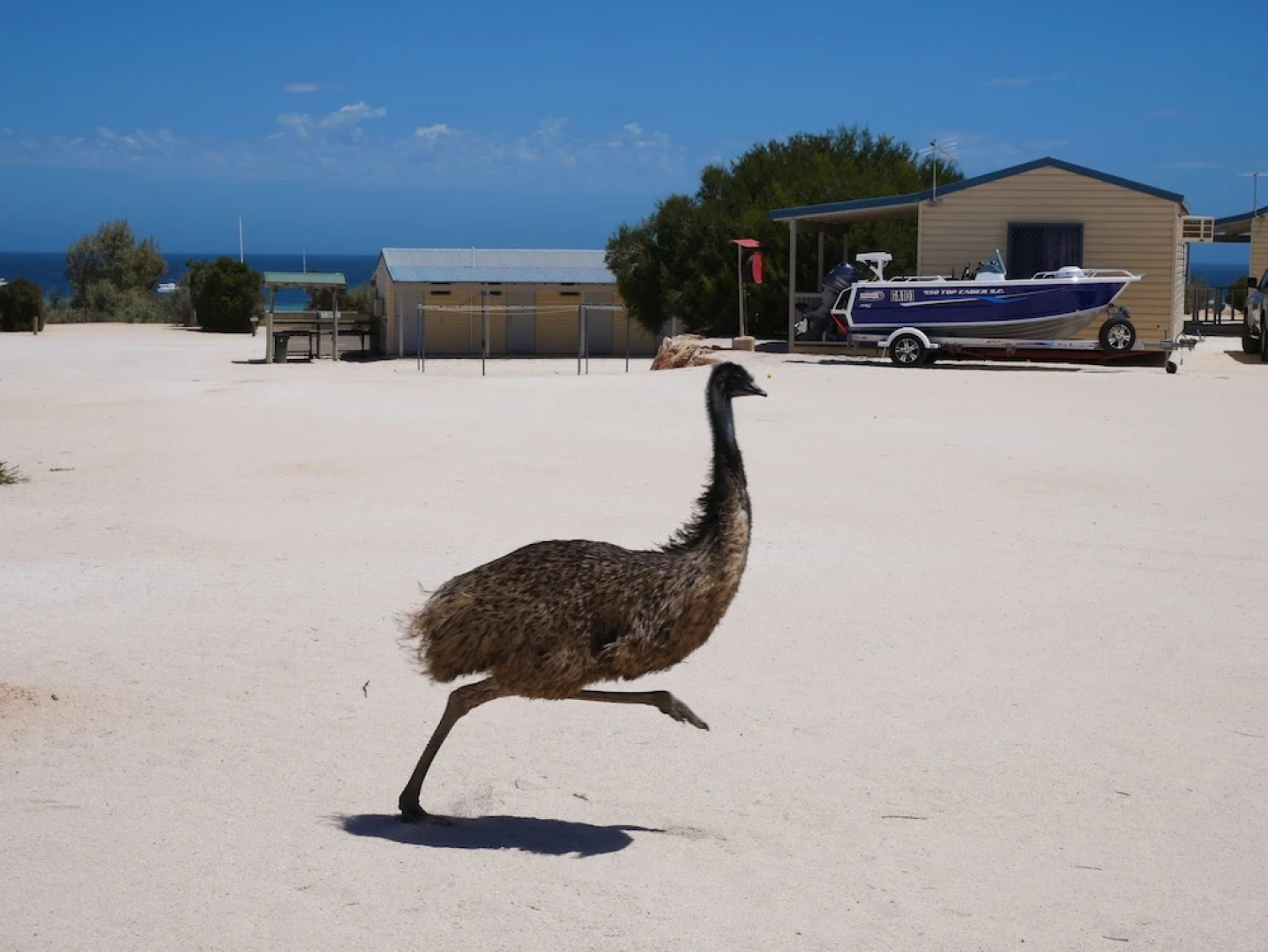 Tasman Holiday Parks – Denham Seaside