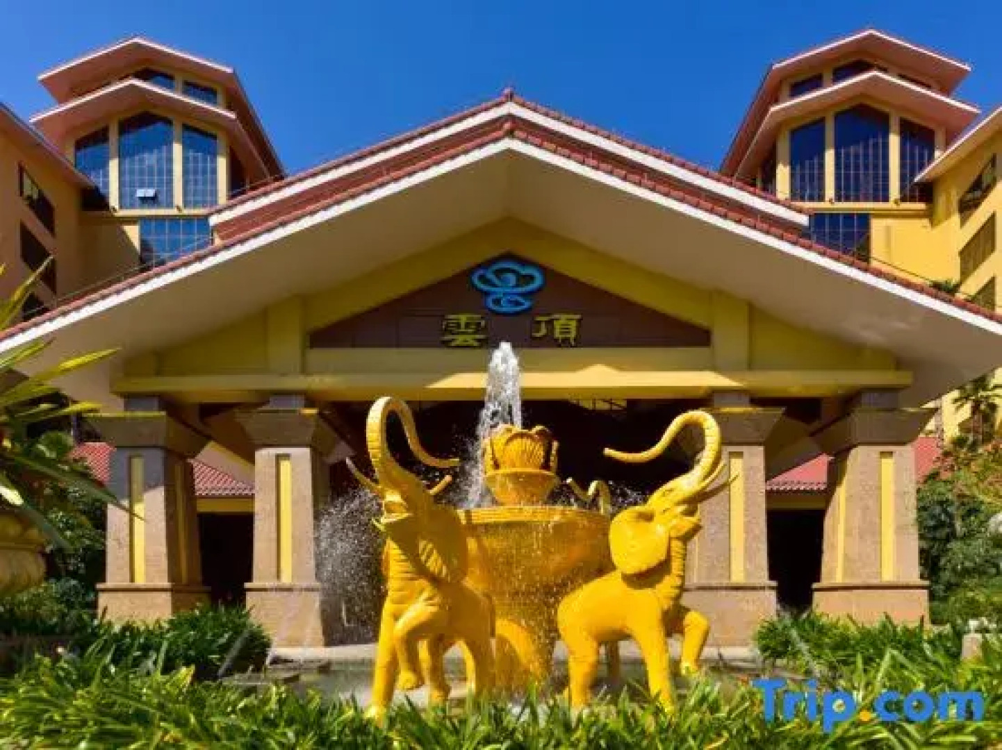 Cloud Nine Hotspring