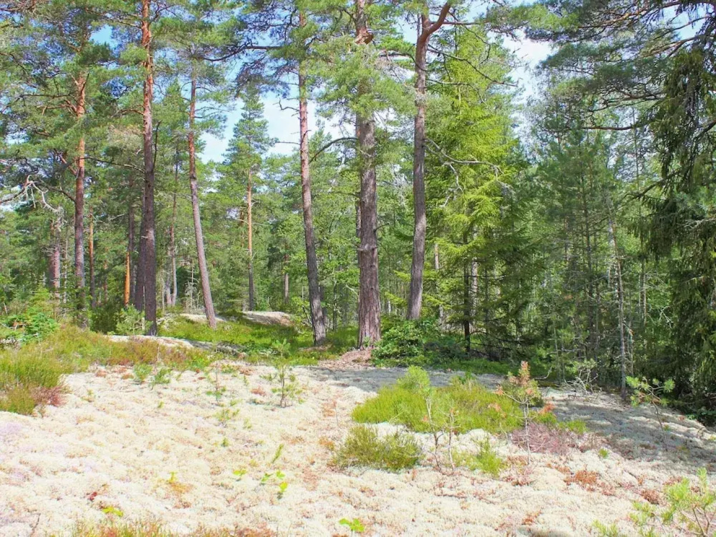 Scenic Lakeside Cottage-by Traum