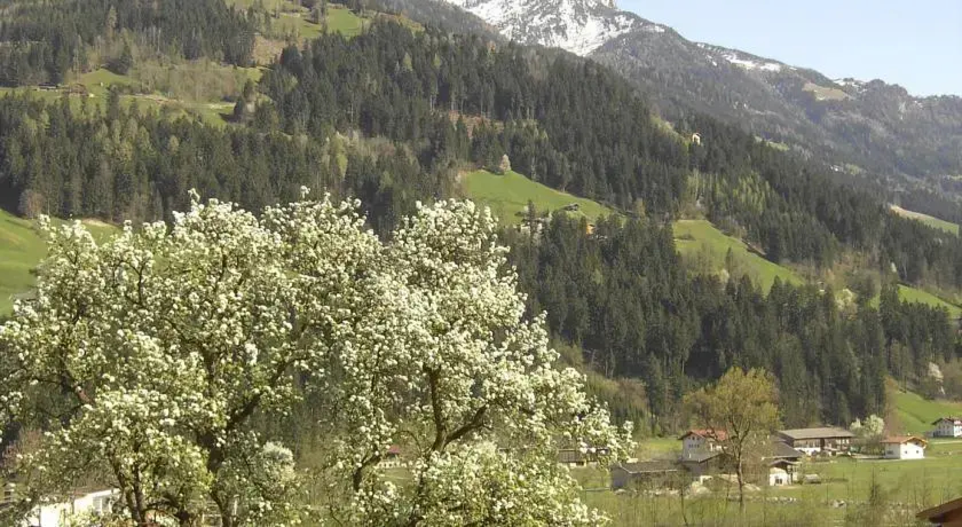 Hundsbichler Zillertal