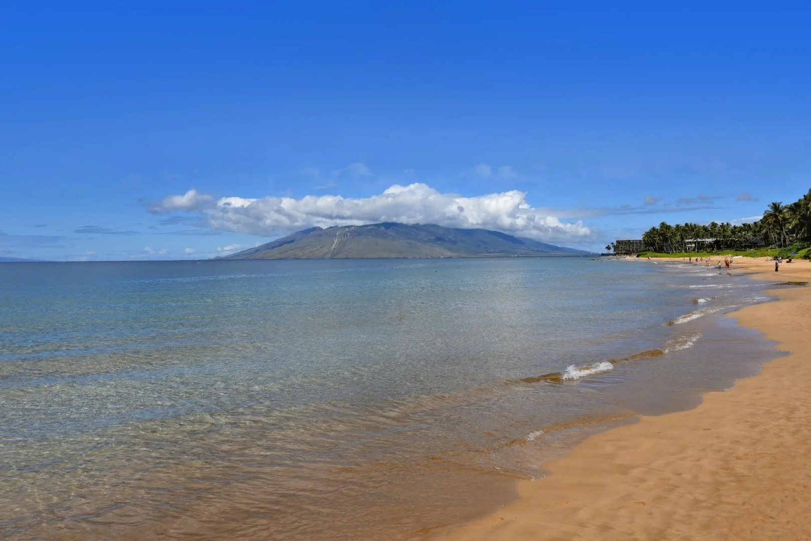 Wailea Ekahi 17D - One Bedroom Condo with Ocean View