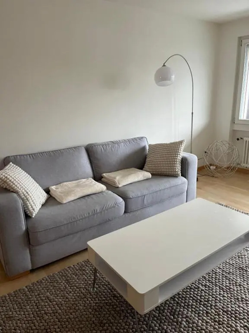 Amazing lakeview flat Horn