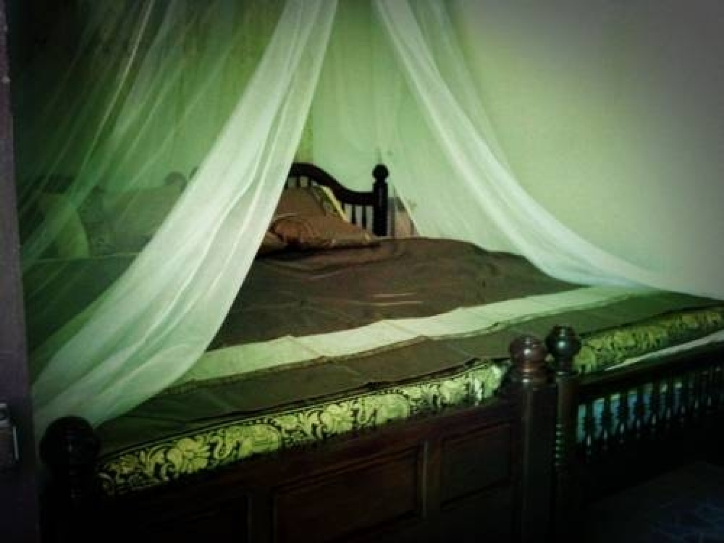 Khun Maekok Tara Resort