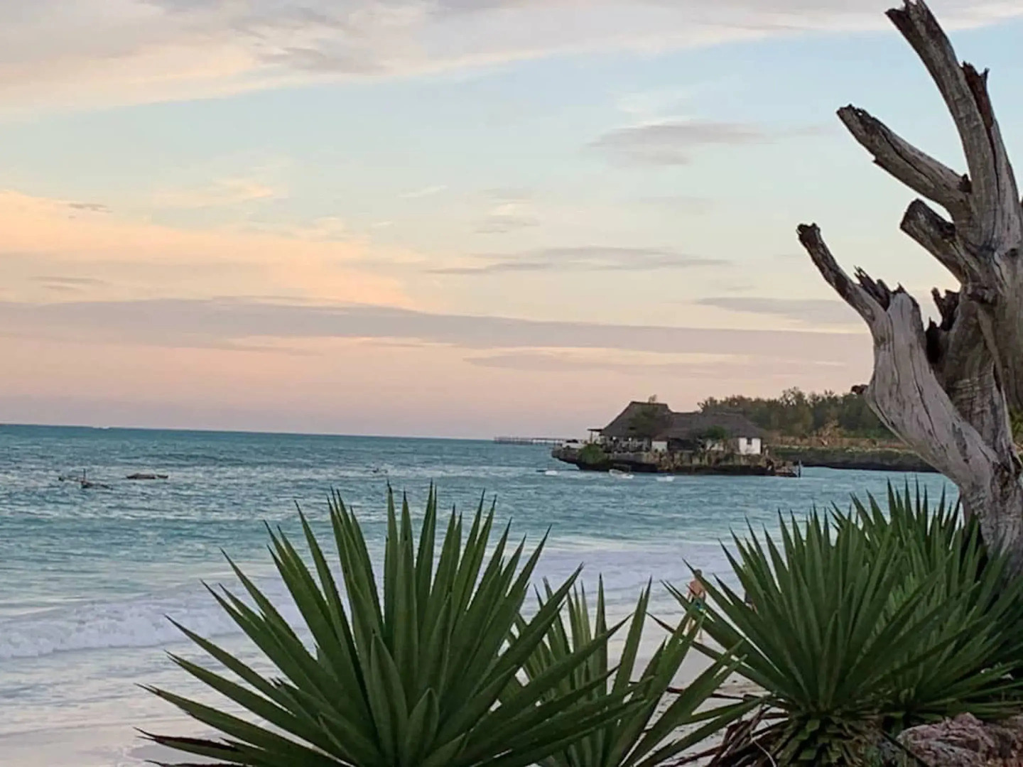 Beach House Michamvi