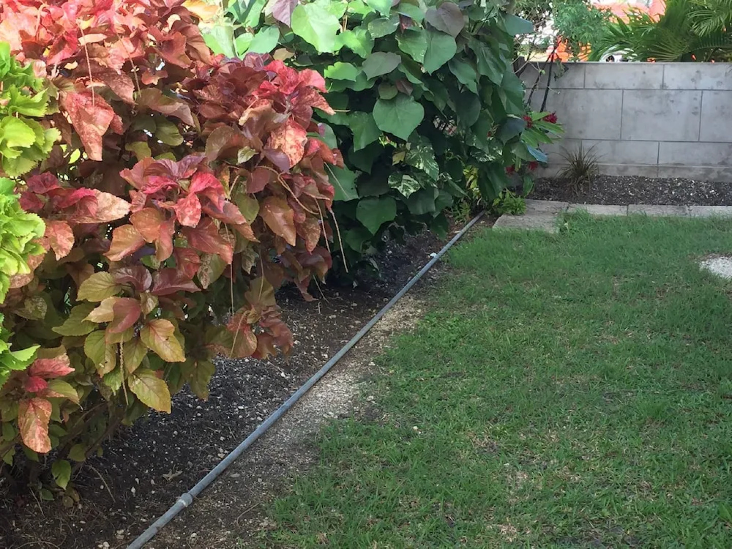 East Emerald Apartment