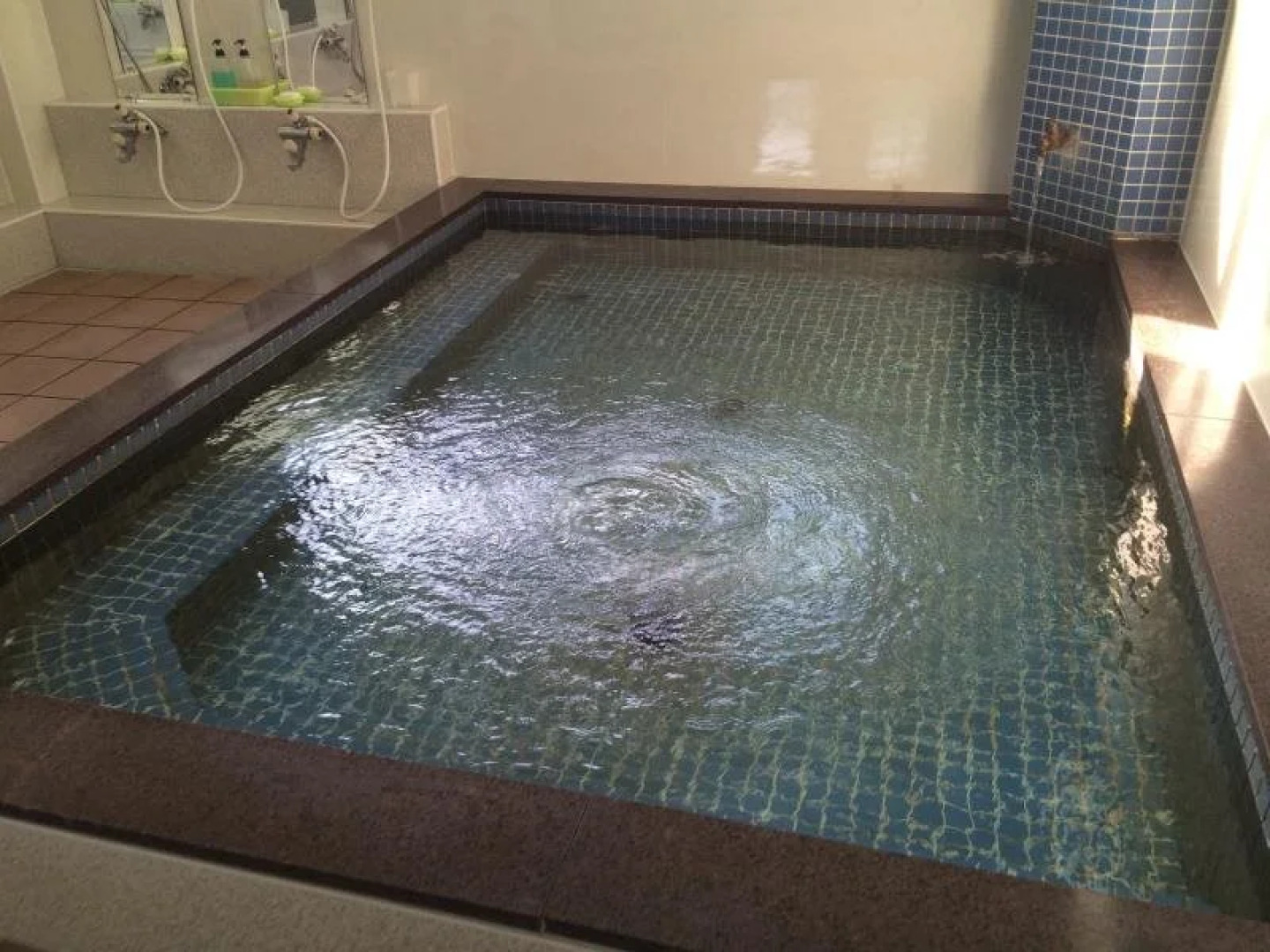 Business Hotel Ark Hekinan