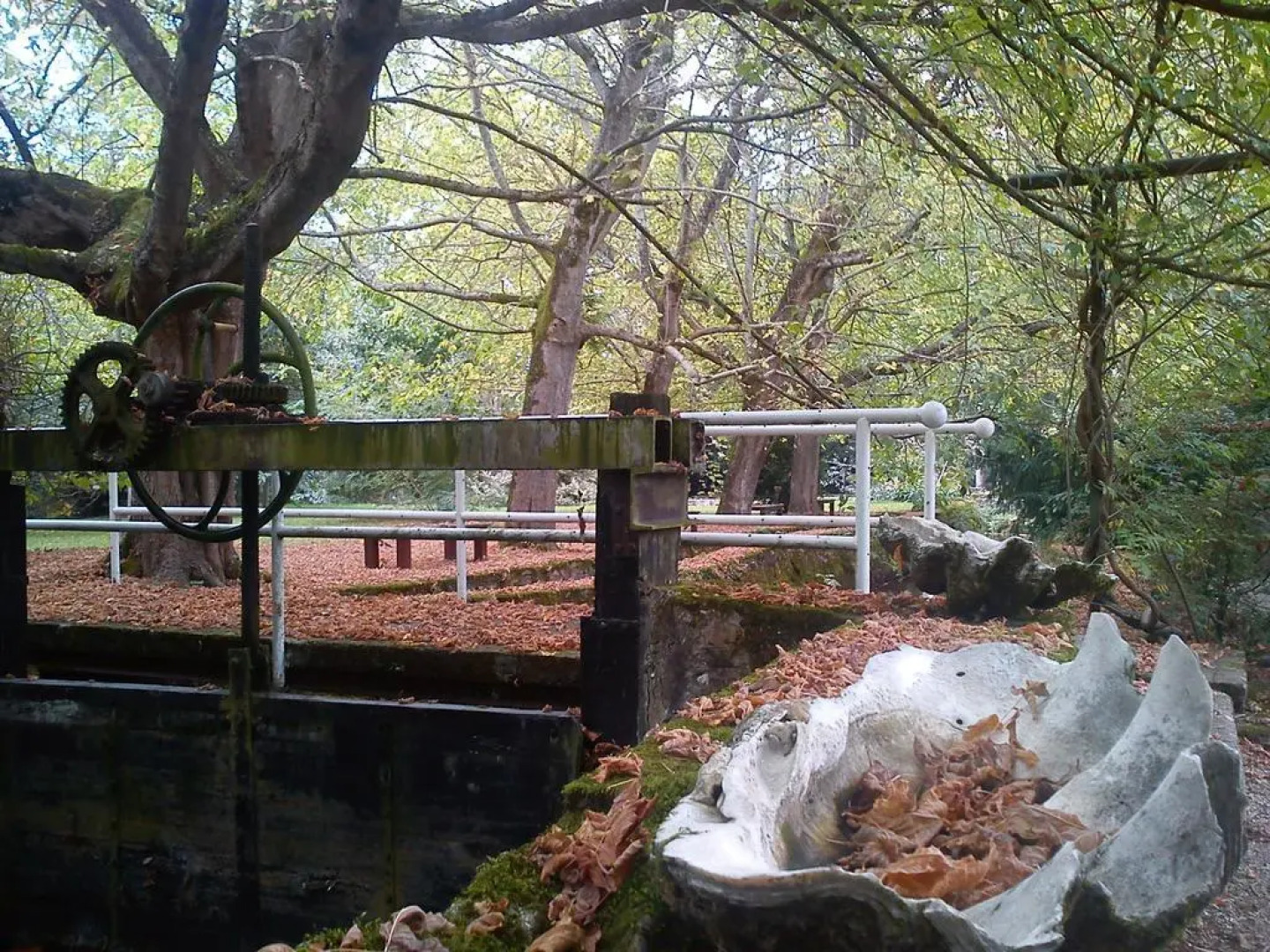 El Jardín de Carrejo