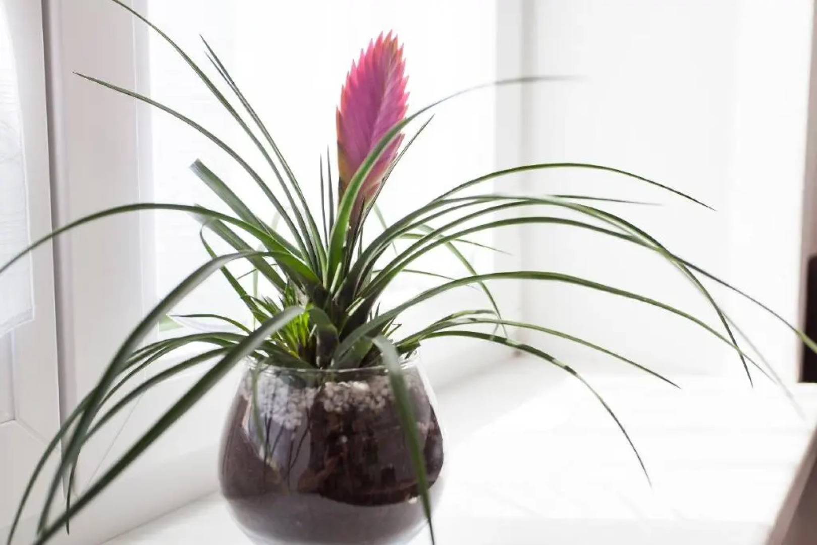 Zehentner - Wein & Feriendomizil