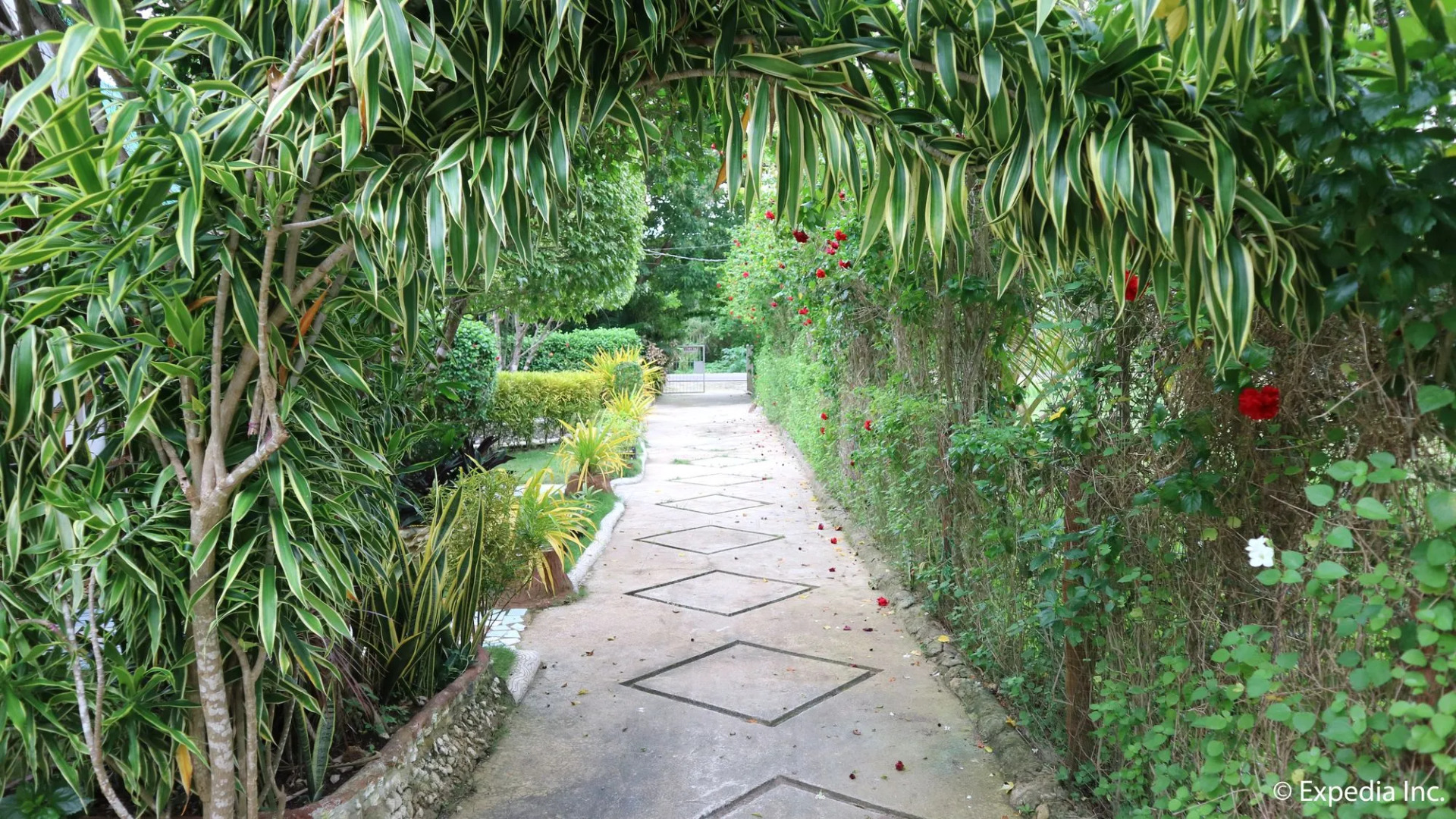 Island Rendevoo Cottages