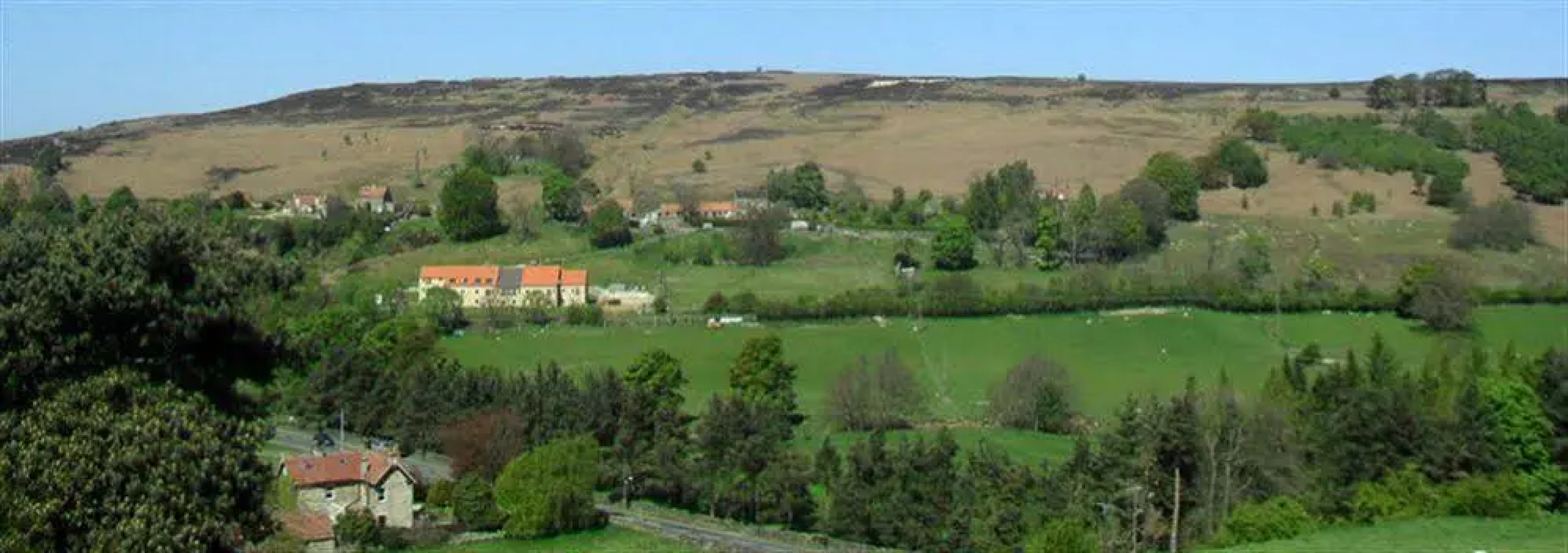 Greystones Bed & Breakfast