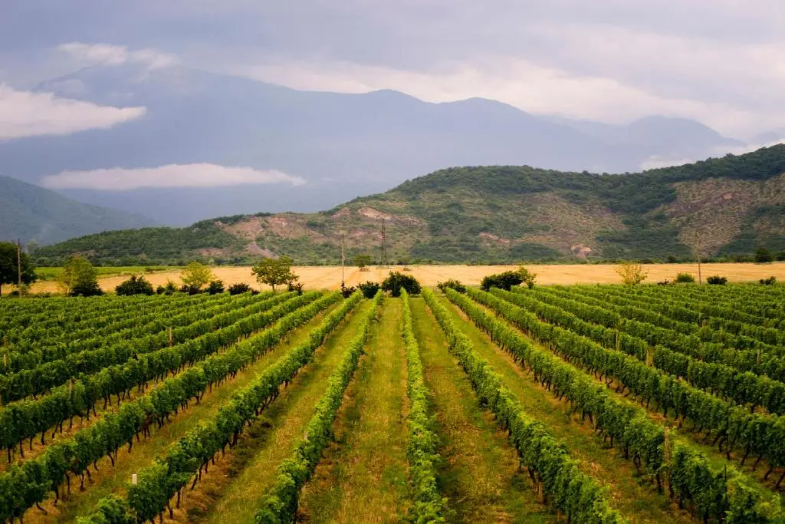 Shaloshvilis Cellar Hotel