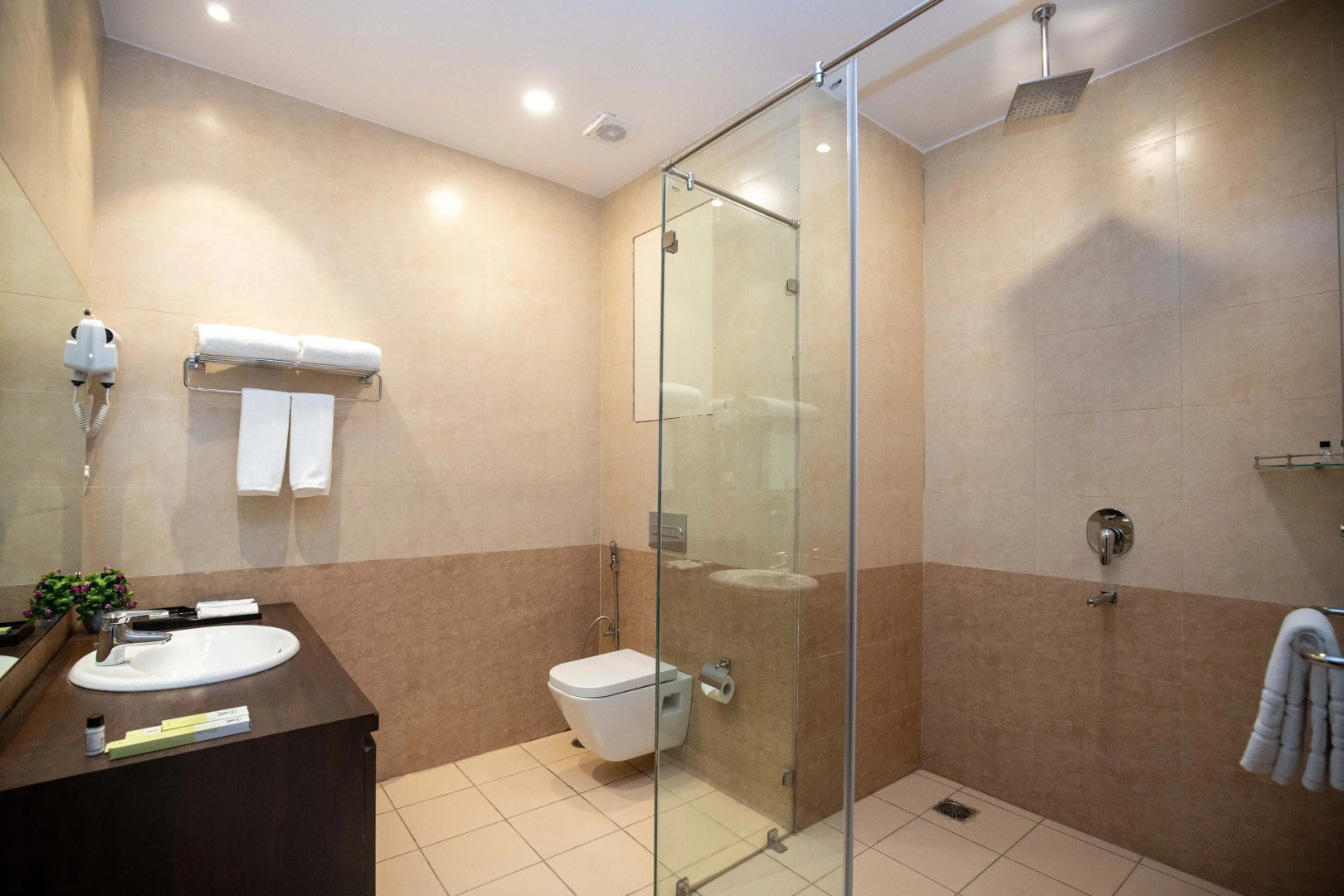 Hotel Palm International