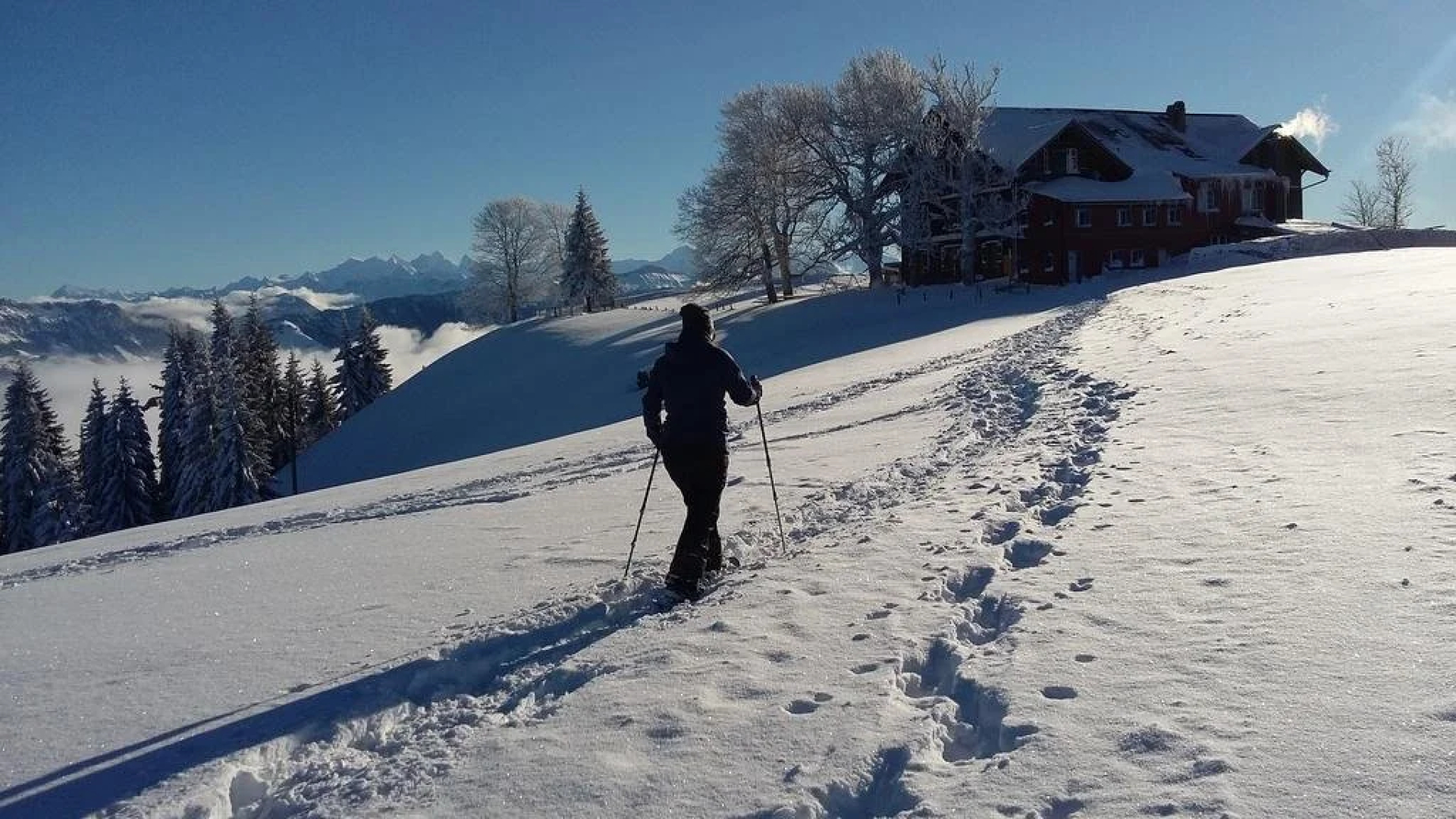 Gasthof Krone