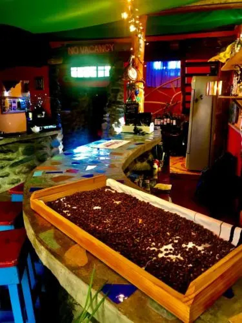 Refugio La Brisa del Diablo Bed&Breakfast