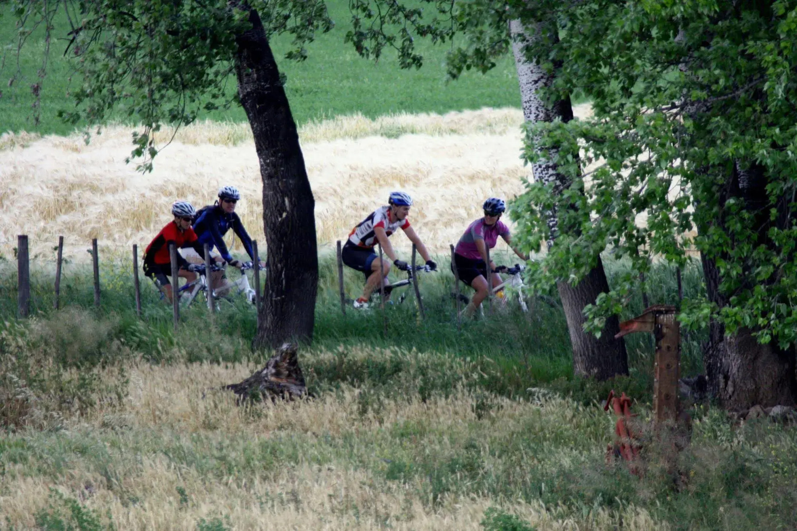 Surval Boutique Olive Estate