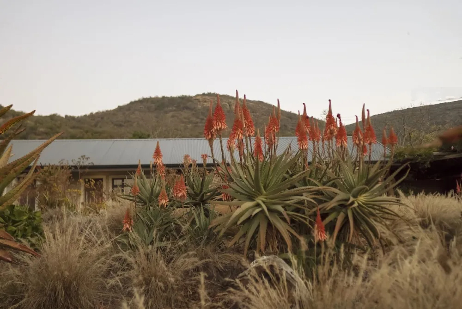 Zulu Rock Game Ranch