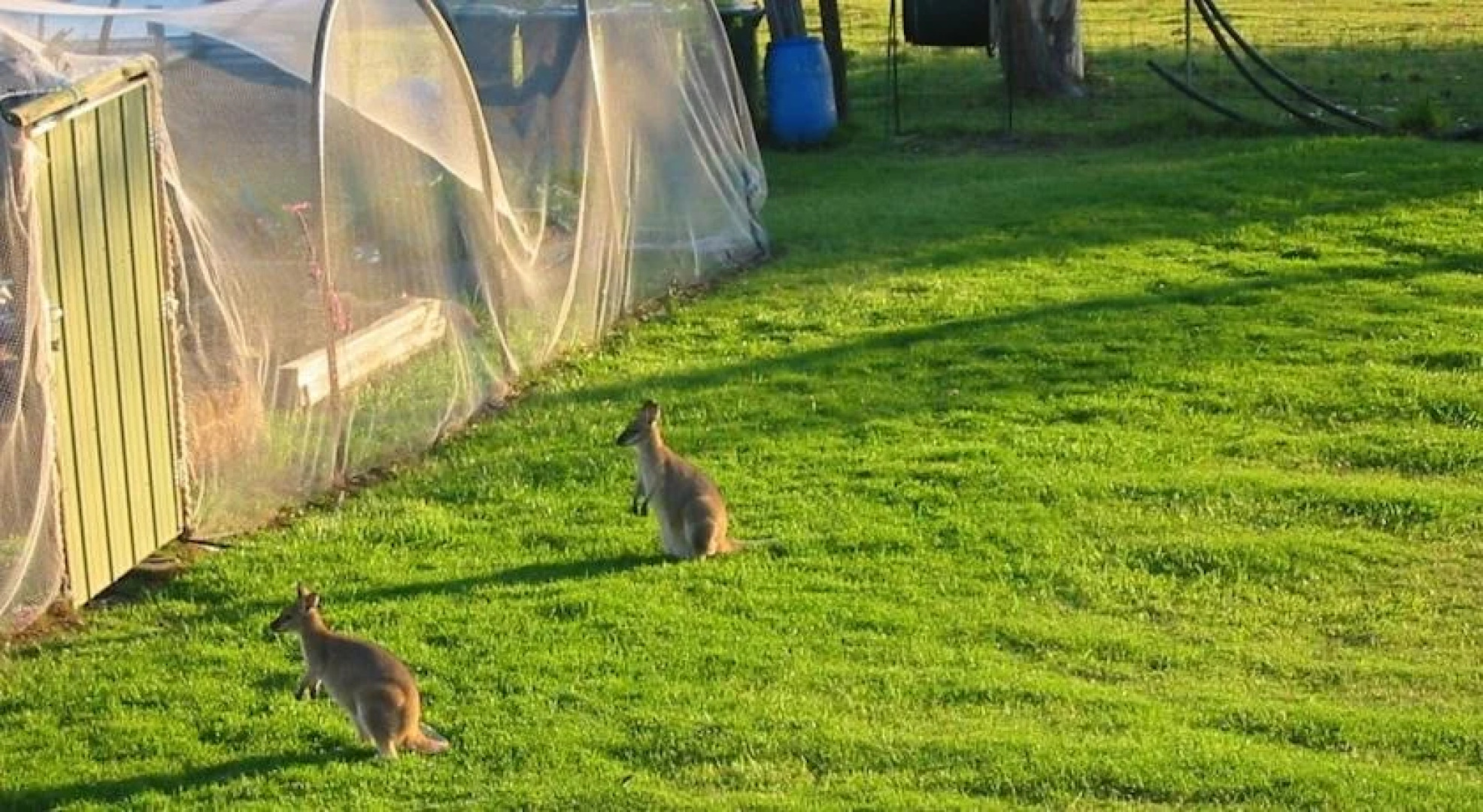 Rural Executive Holiday House @ Lavender Grove Farm