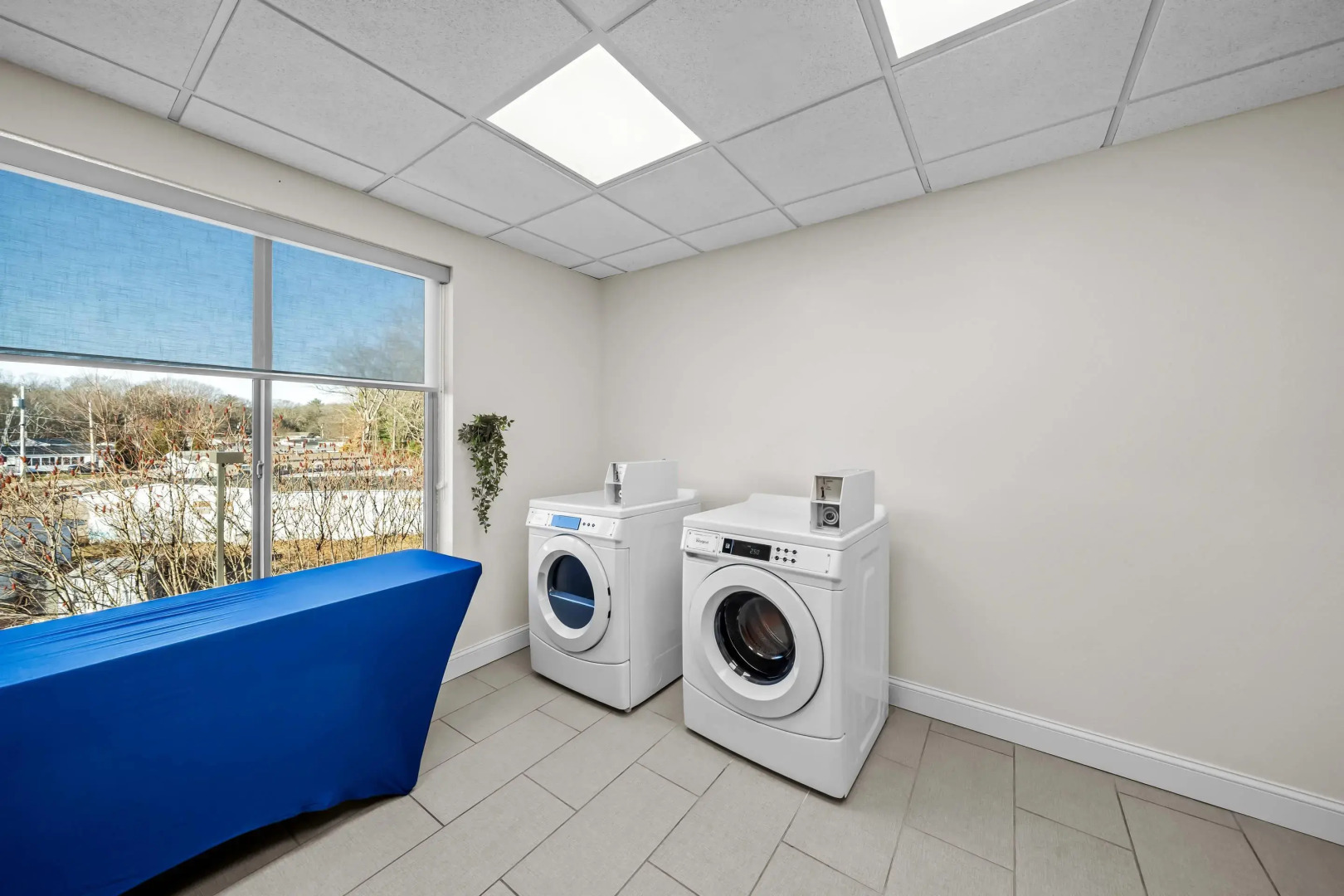 Comfort Inn & Suites Plainville-Foxboro