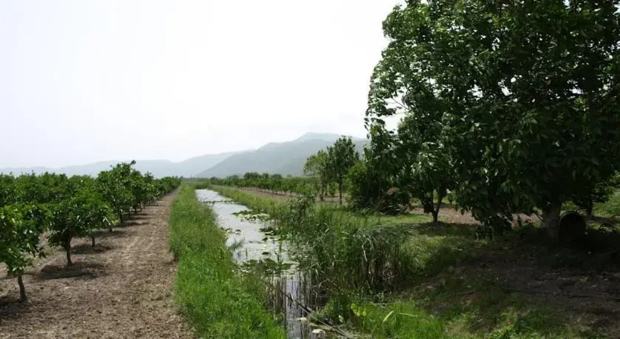 Apartments Home Book