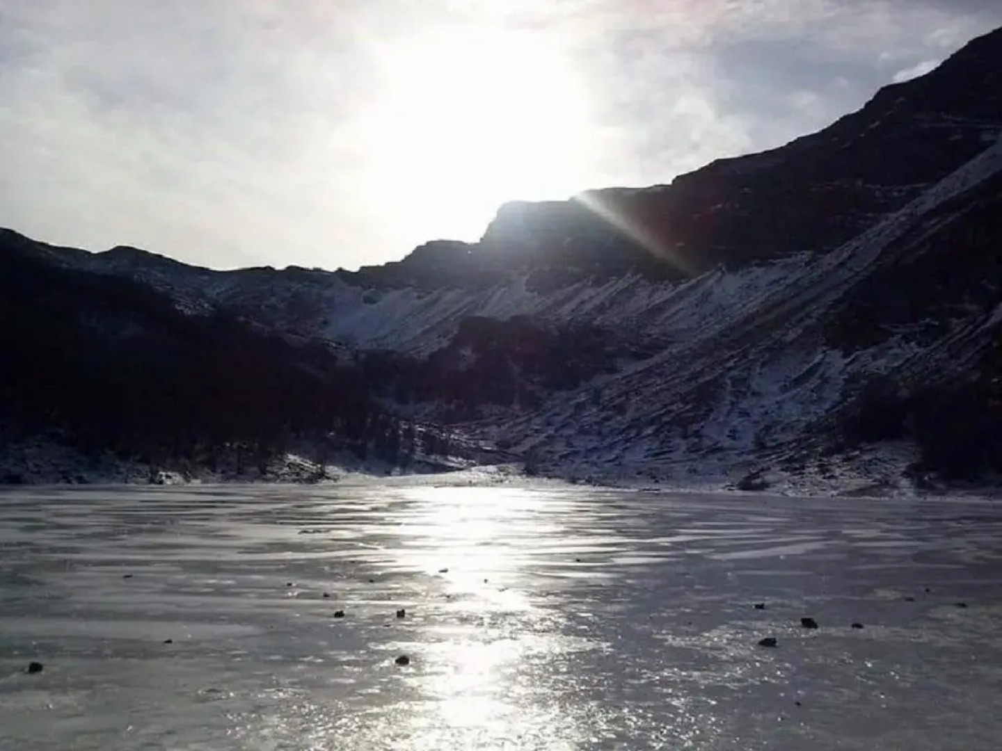 Uno chalet nel bosco