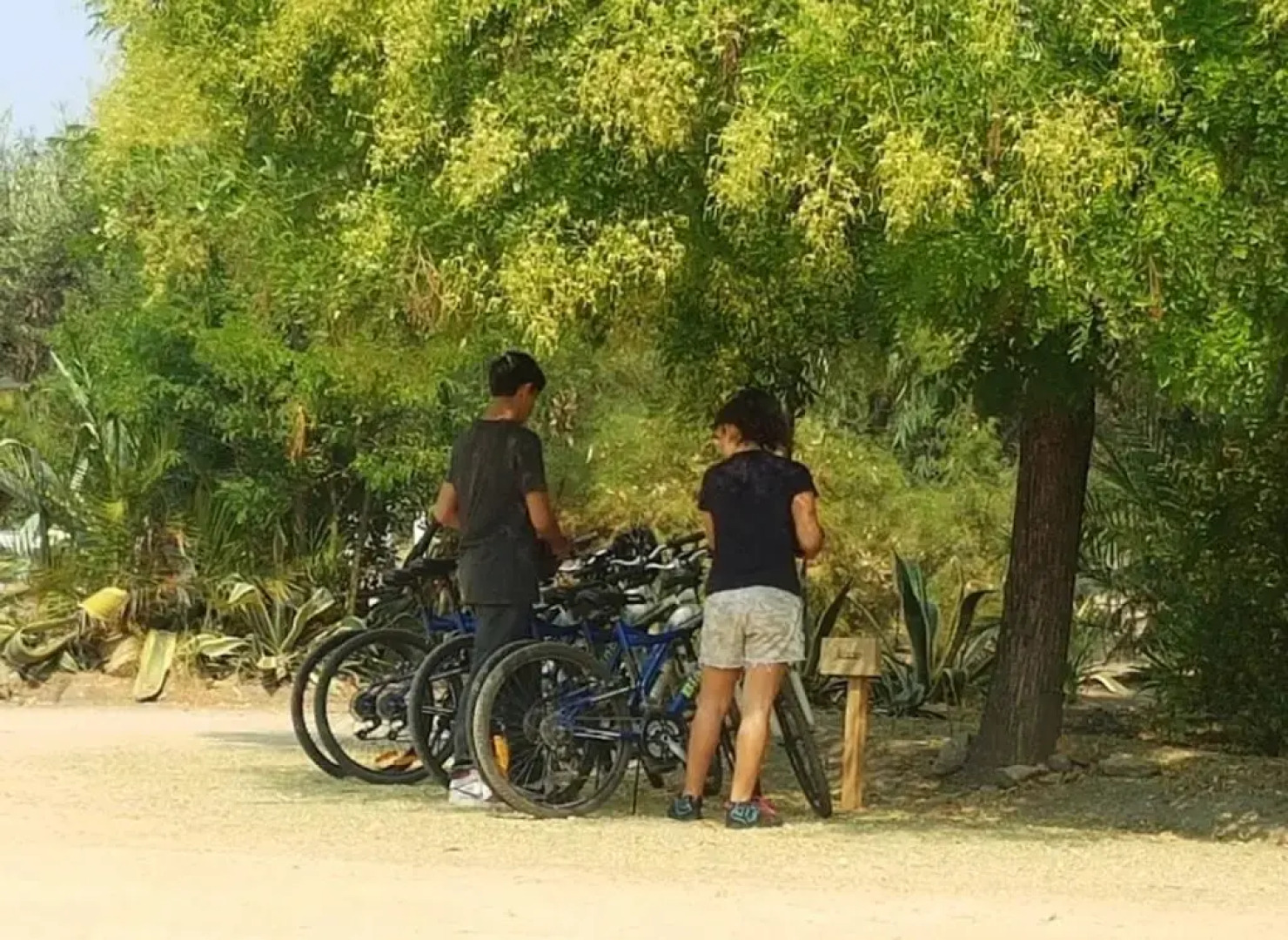 Hacienda Histórica Marchigüe