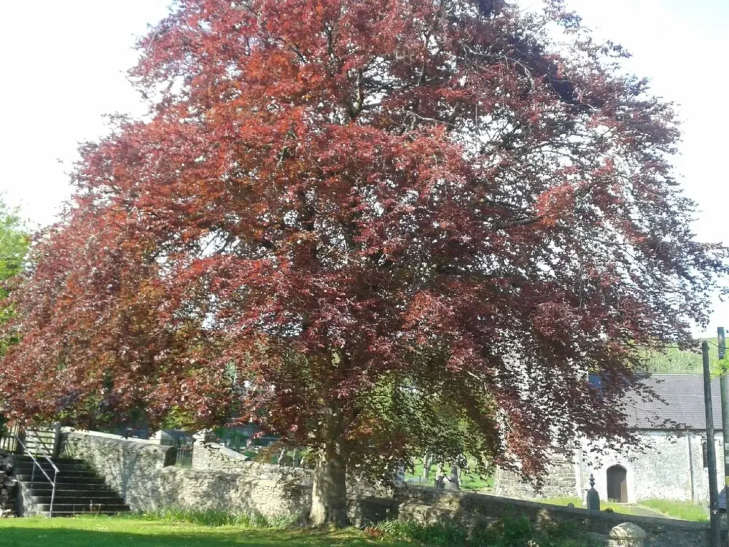 Sannan Court Holiday Apartments